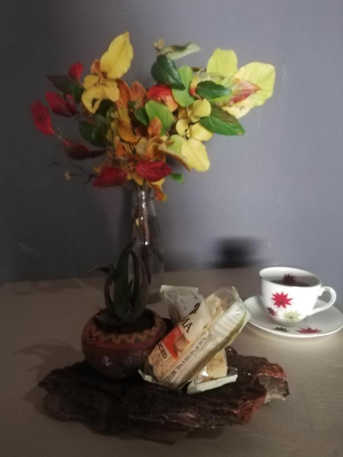 Ashtree Guesthouse Hanover Road Exteriör bild